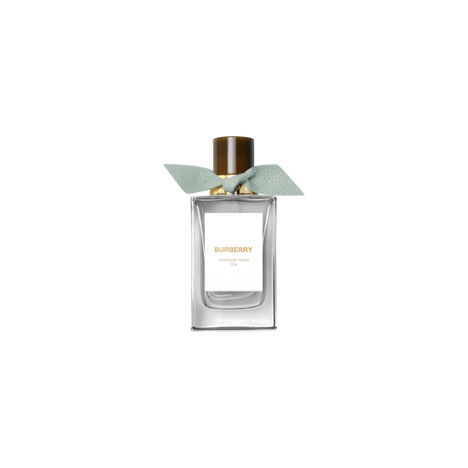 Burberry Windsor Tonic Eau de Parfum — 3.4 fl oz (100 ml)