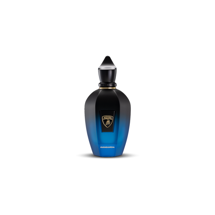 Xerjoff Avanguardia Eau de Parfum 3.4 fl oz (100 ml)